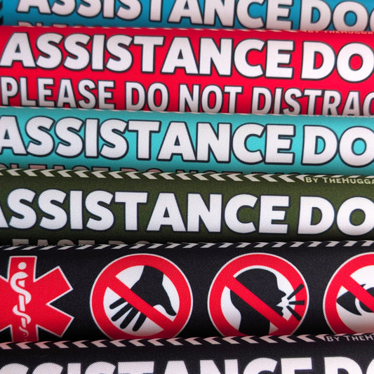 "ASSISTANCE DOG, please do not distract". Plus signs on the other side. Leash sleeves.