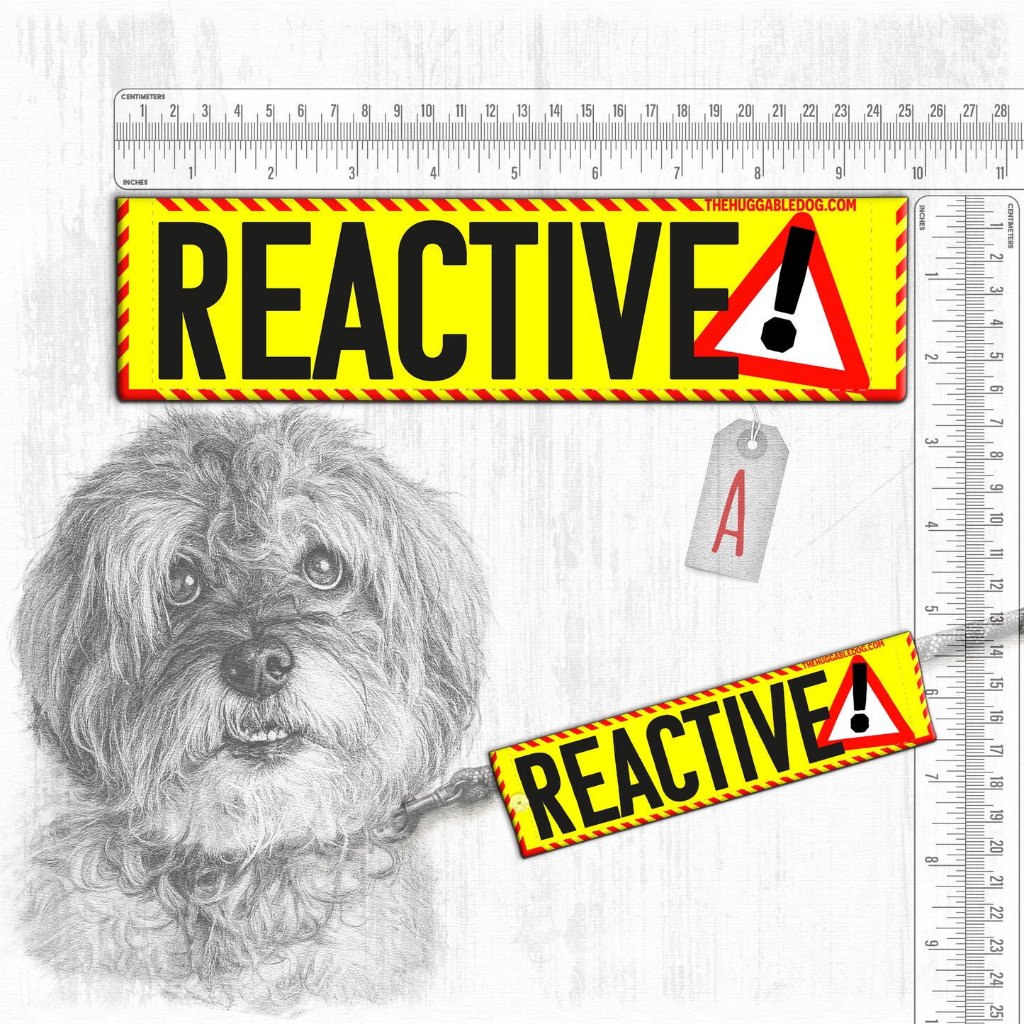 "REACTIVE DOG, various".