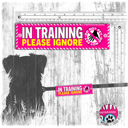 "IN TRAINING, please IGNORE", do not pet. Warning covers for dogs leashes.