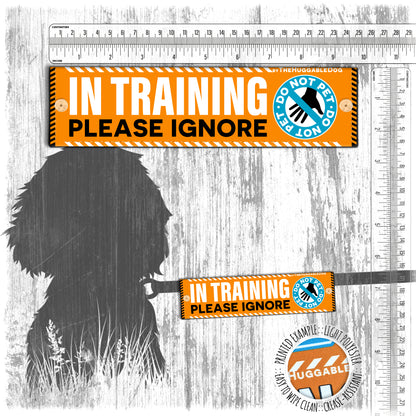 "IN TRAINING, please ignore", do not pet. Leash sleeve for dog TRAINING.