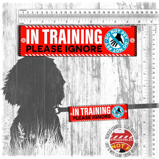 "IN TRAINING, please ignore", do not pet. Leash sleeve for dog TRAINING.