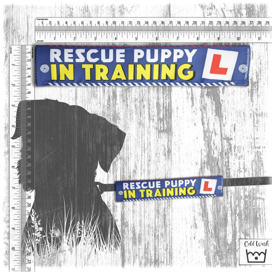 "RESCUE puppy in training". Leash sleeve for dogs.