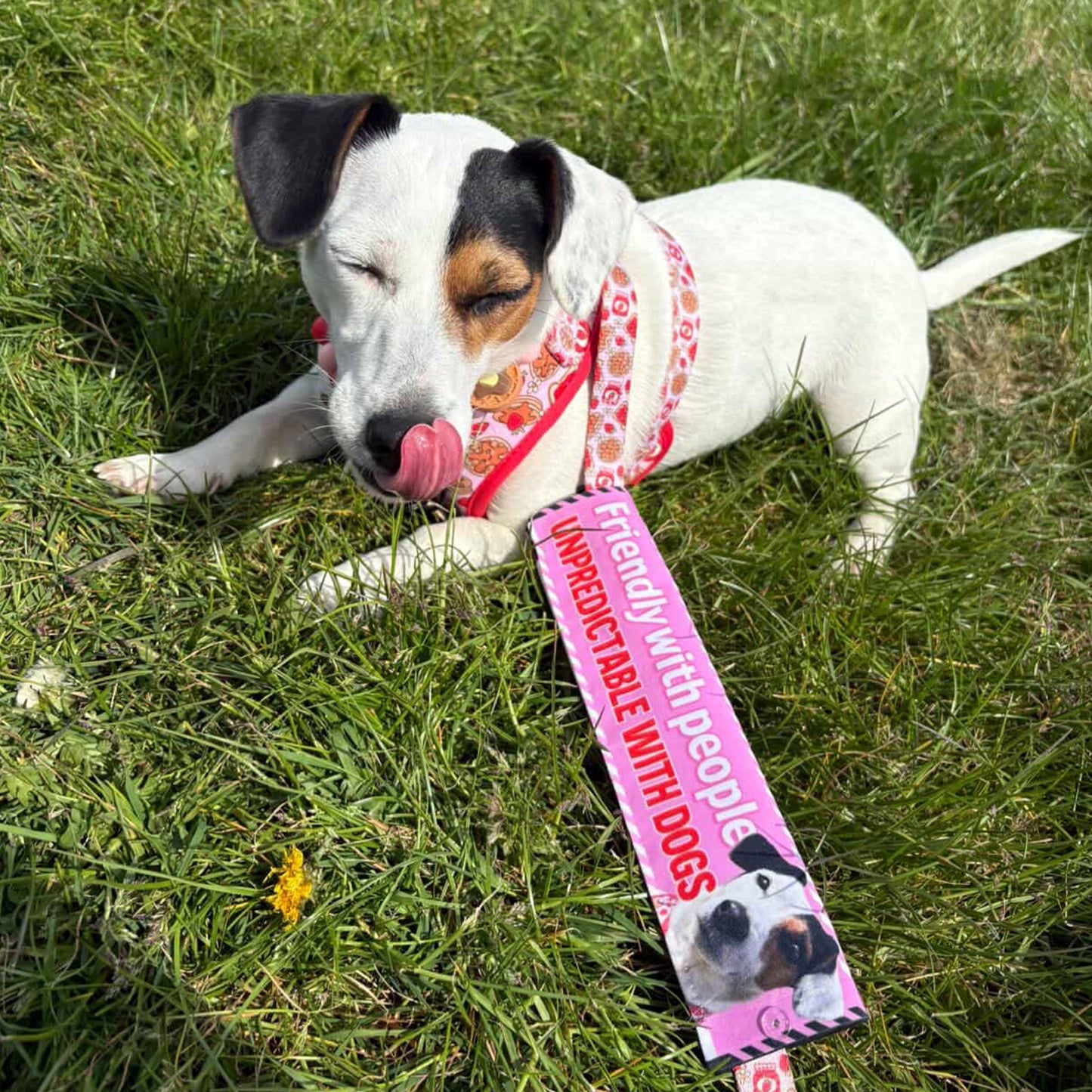 Custom made. Sleeves for dog leashes, just the way you like.