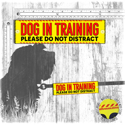 "Dog in TRAINING, please do not distract". Leash sleeve for dog training.