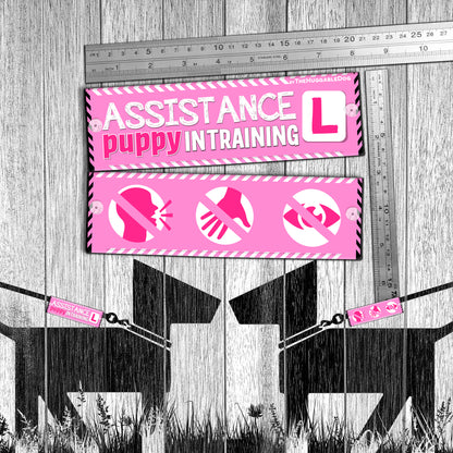 "Assistance PUPPY in training". Plus signs. Warning leash sleeve for dogs.