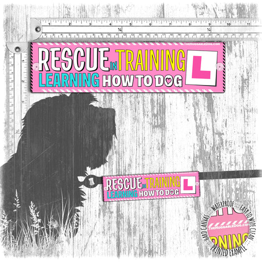 "Rescue in TRAINING, learning how to dog". Leash sleeve for dog training.