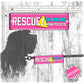 "RESCUE! Learning how to dog". Leash sleeve for dog training.
