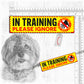 "MOST POPULAR leash sleeves".