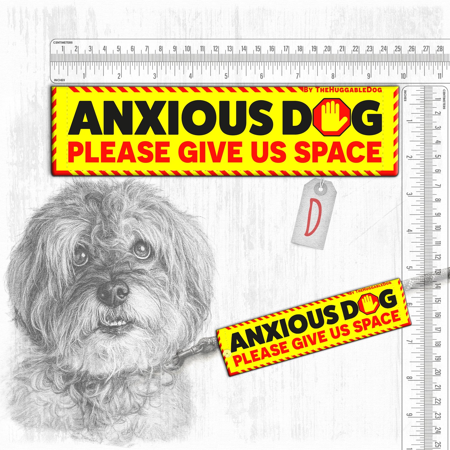 "ANXIOUS DOG, various".