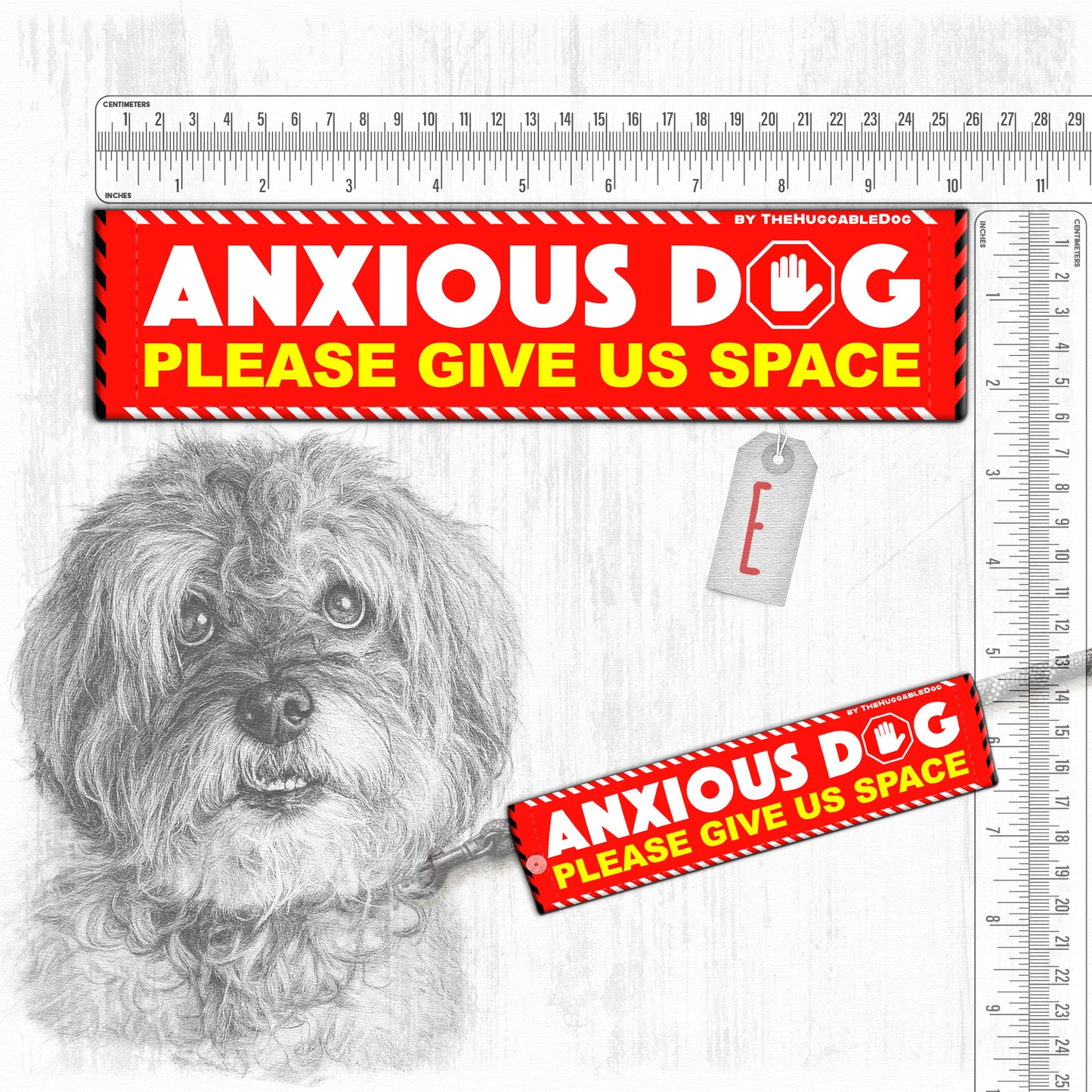 "ANXIOUS DOG, various".