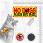 Most POPULAR patches. L-XL size.