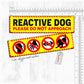 "REACTIVE DOG, various".