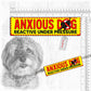 "ANXIOUS DOG, various".