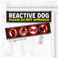 "REACTIVE DOG, various".
