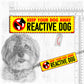 "MOST POPULAR leash sleeves".