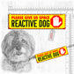 "MOST POPULAR leash sleeves".