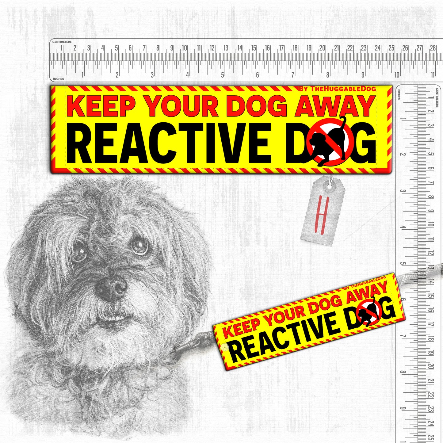 "REACTIVE DOG, various".