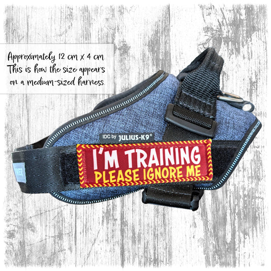 "I'm Training, please ignore me". Supplied as a SINGLE item so you can mix and match.