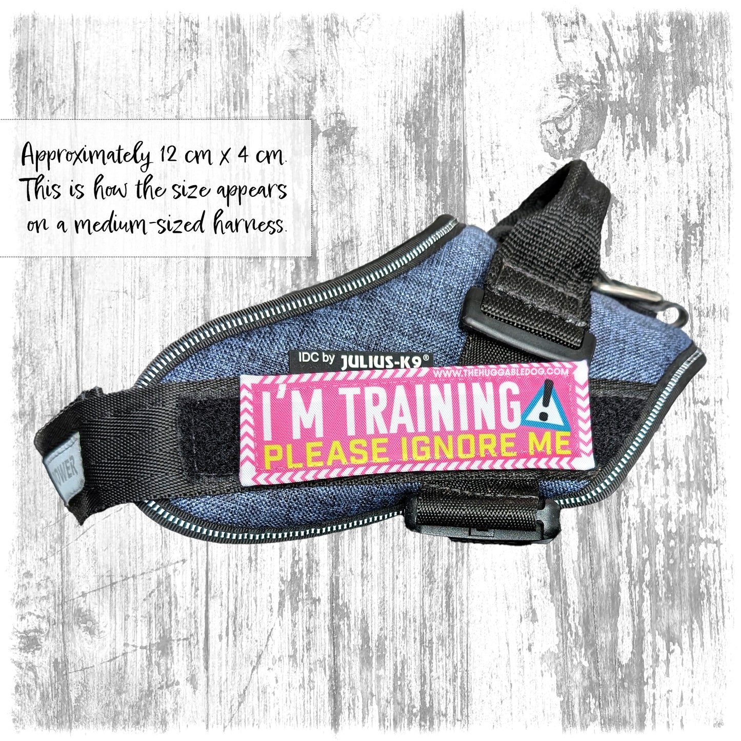 "I'm training, please ignore me". Supplied as a SINGLE item so you can mix and match.