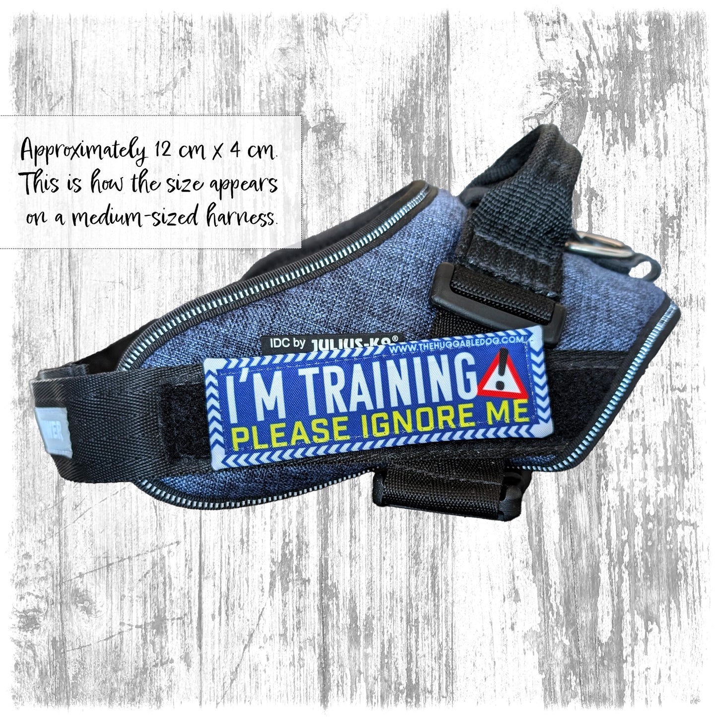 "I'm training, please ignore me". Supplied as a SINGLE item so you can mix and match.