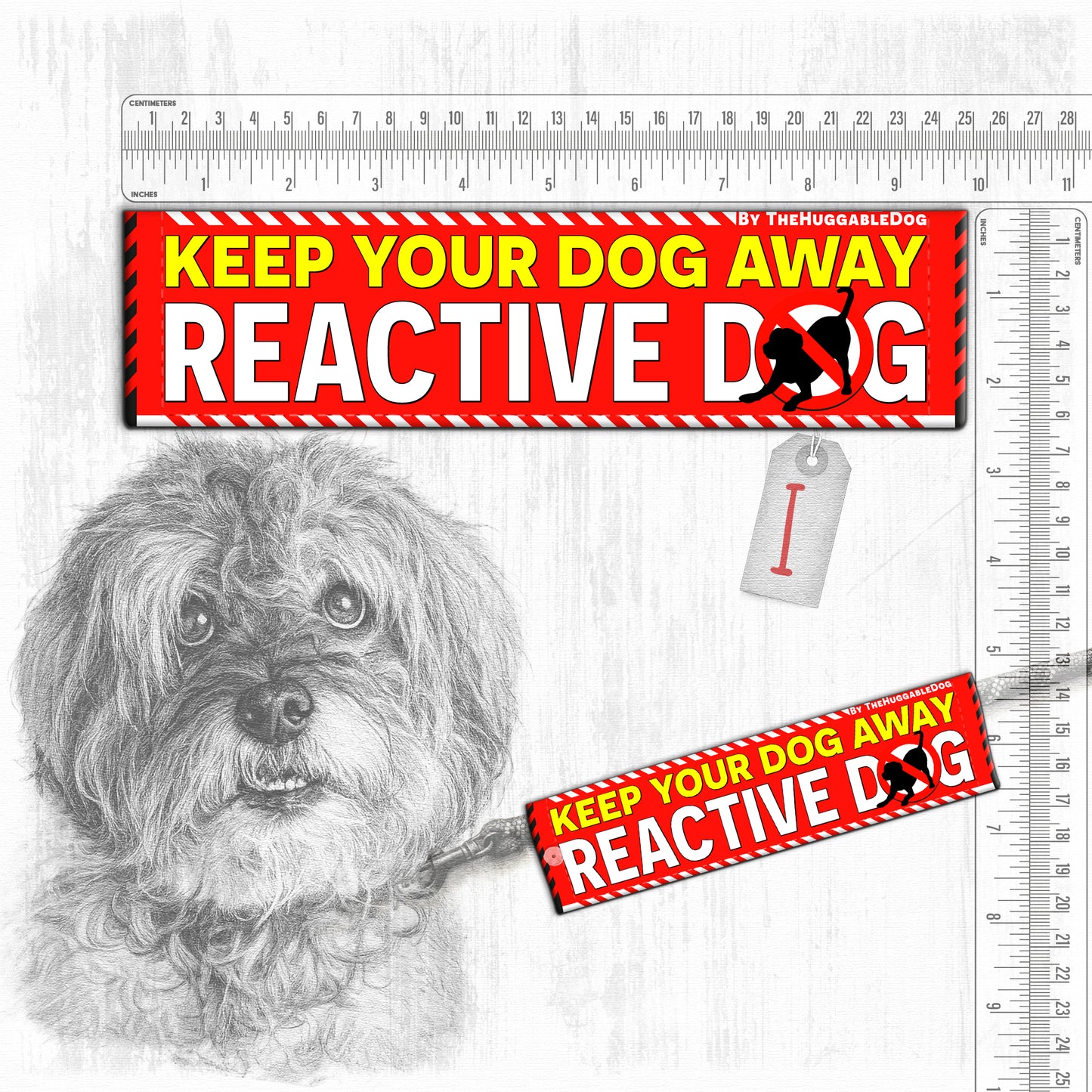 "REACTIVE DOG, various".