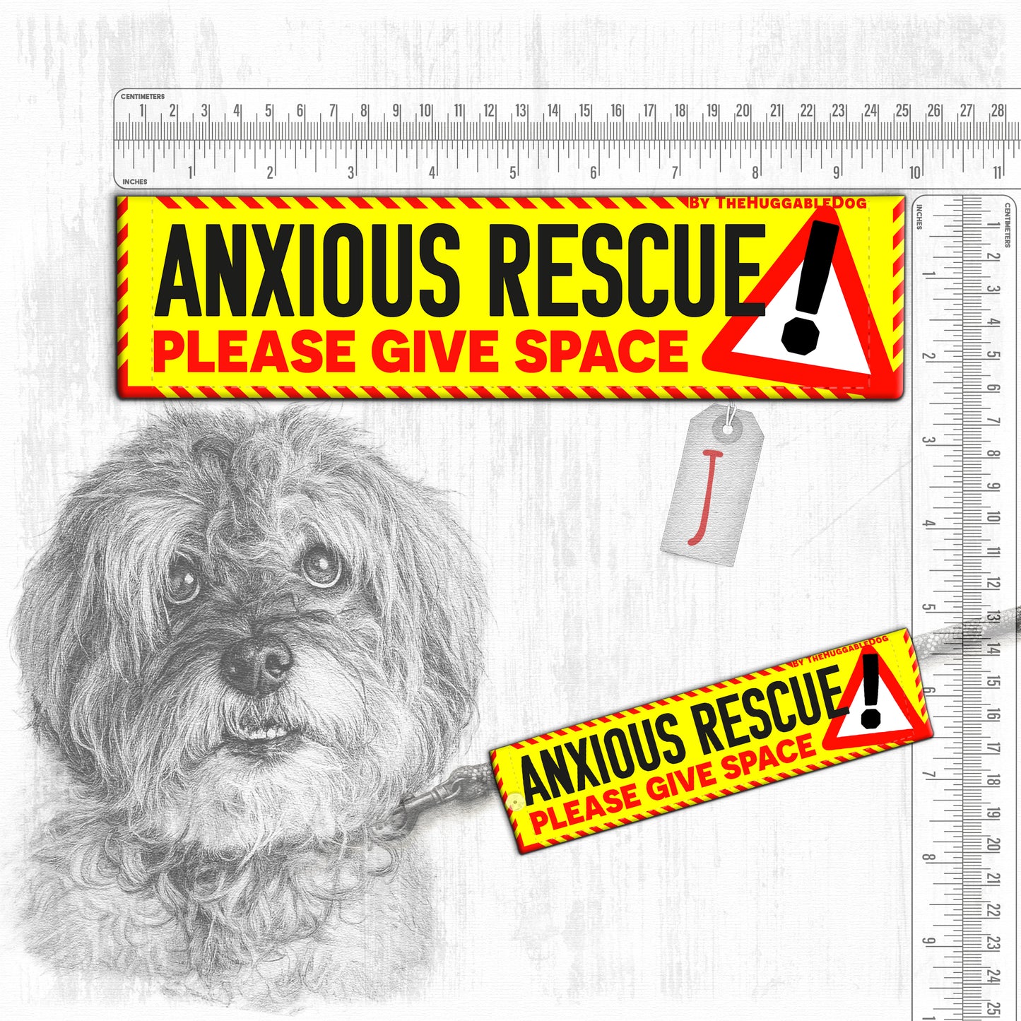 "ANXIOUS DOG, various".