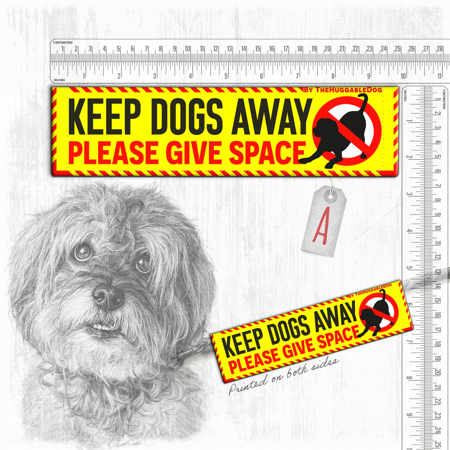 "Keep DOGS AWAY".