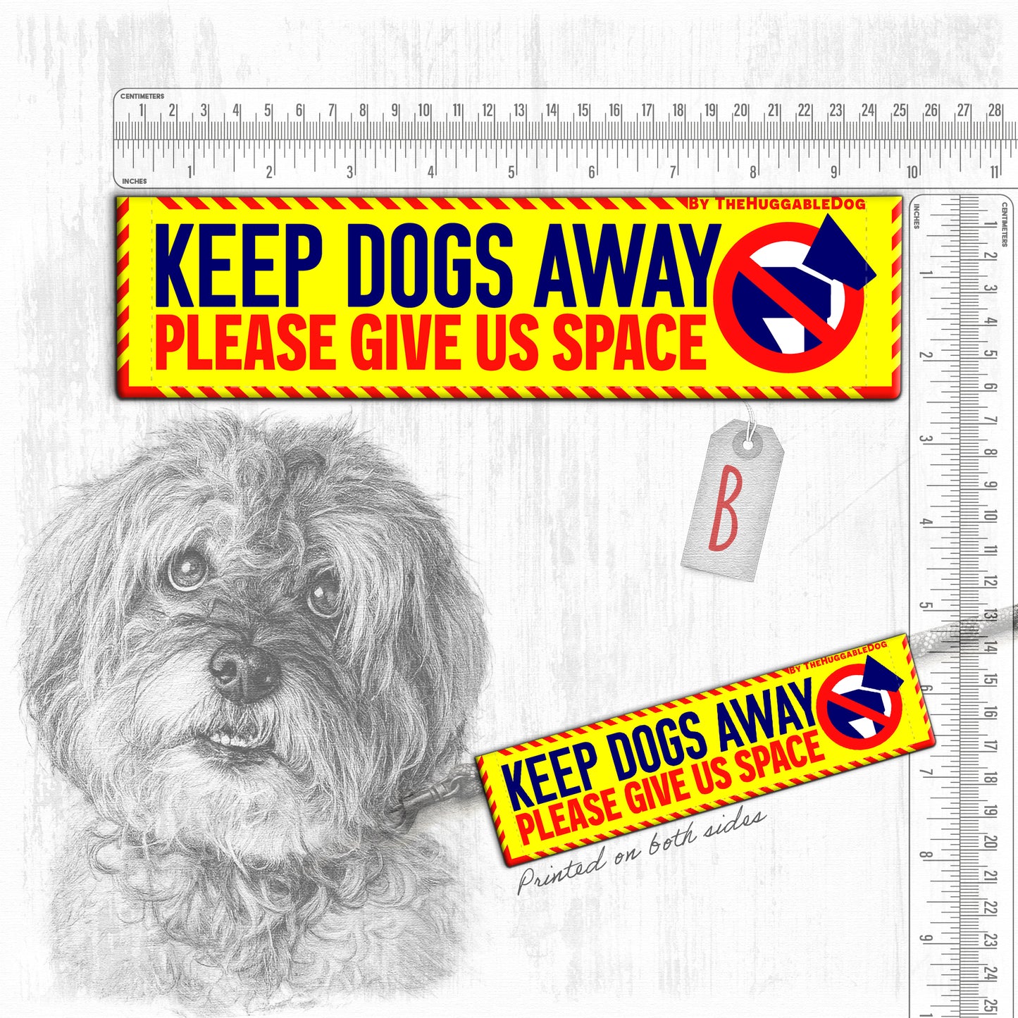 "Keep DOGS AWAY".