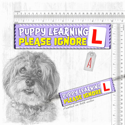 Training a PUPPY