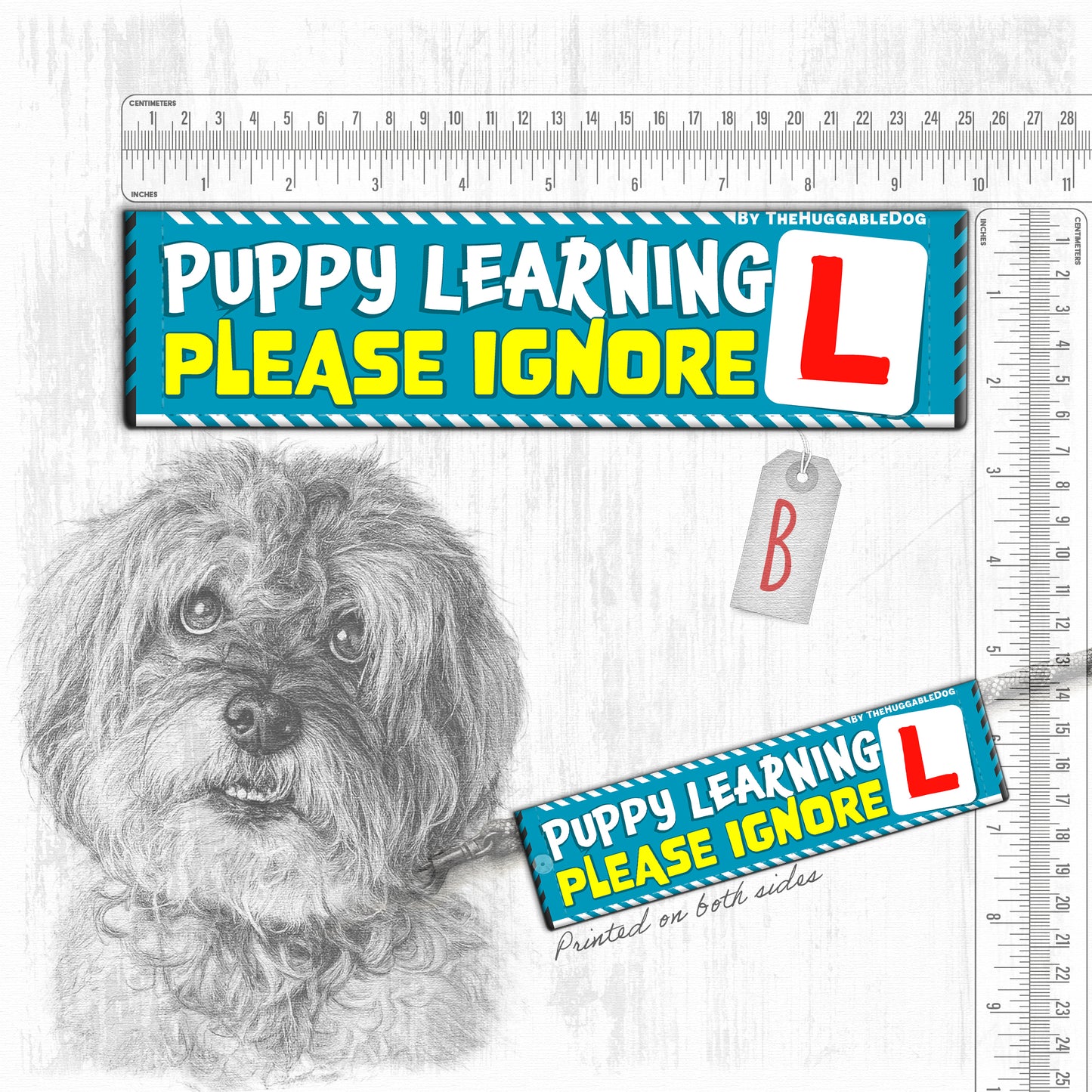 Training a PUPPY
