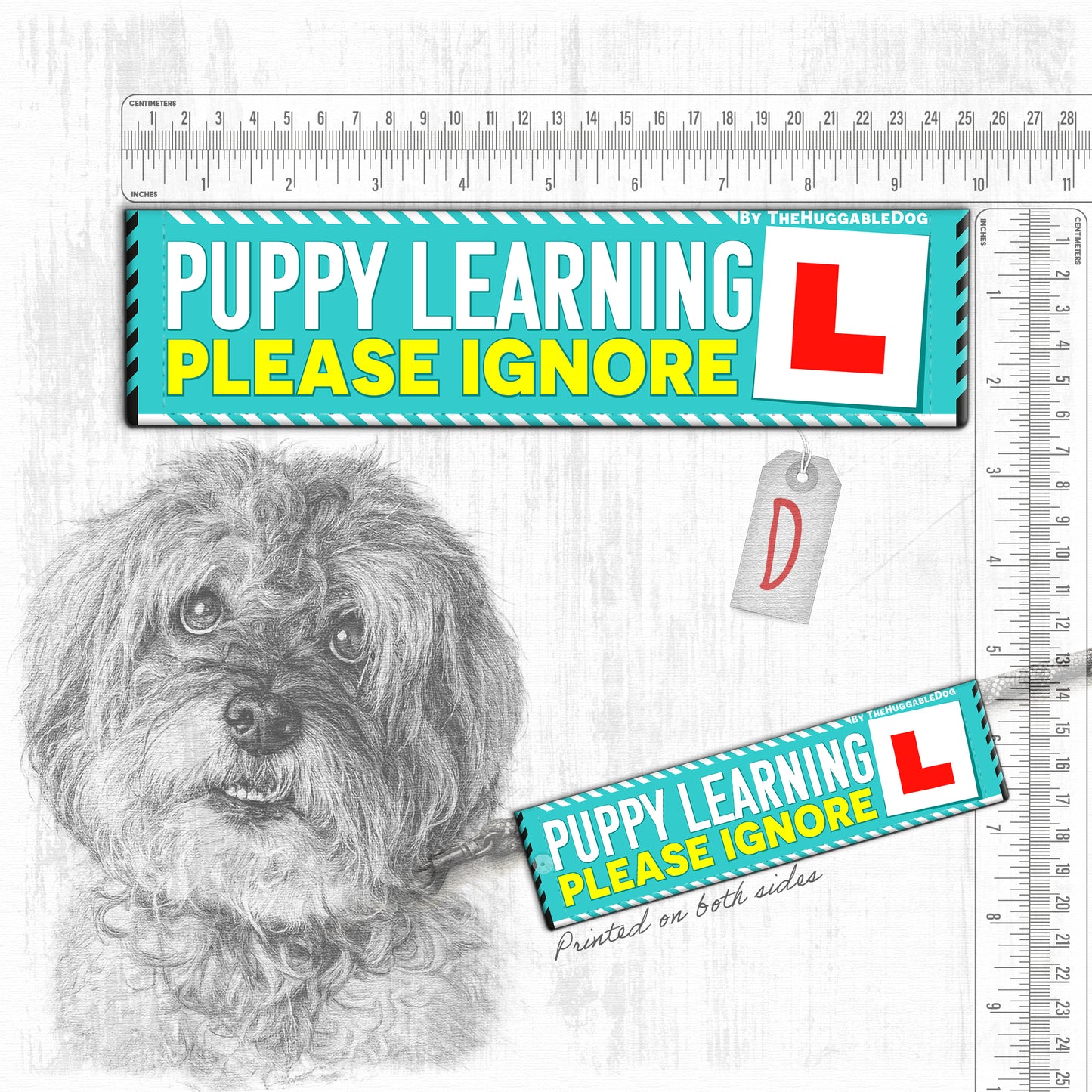 Training a PUPPY