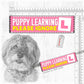 Training a PUPPY