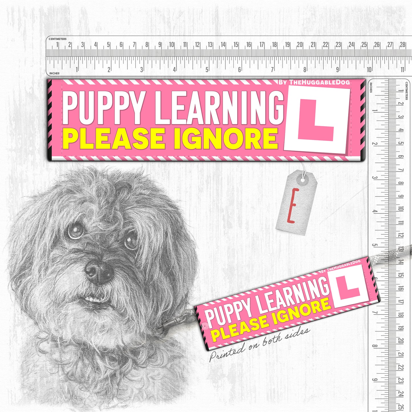 Training a PUPPY