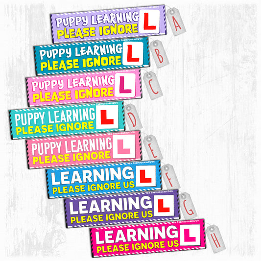 Training a PUPPY