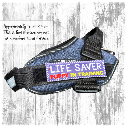 "Life saver, puppy in training". Supplied as a SINGLE item so you can mix and match.