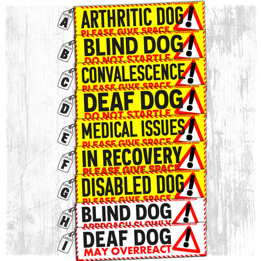 "MEDICAL Issues, various".