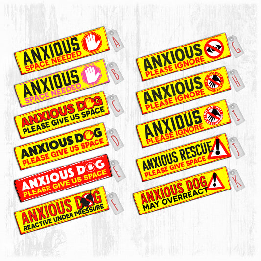 "ANXIOUS DOG, various".