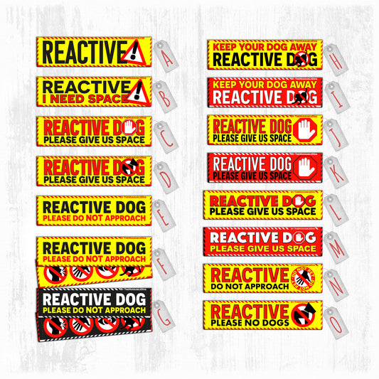 "REACTIVE DOG, various".