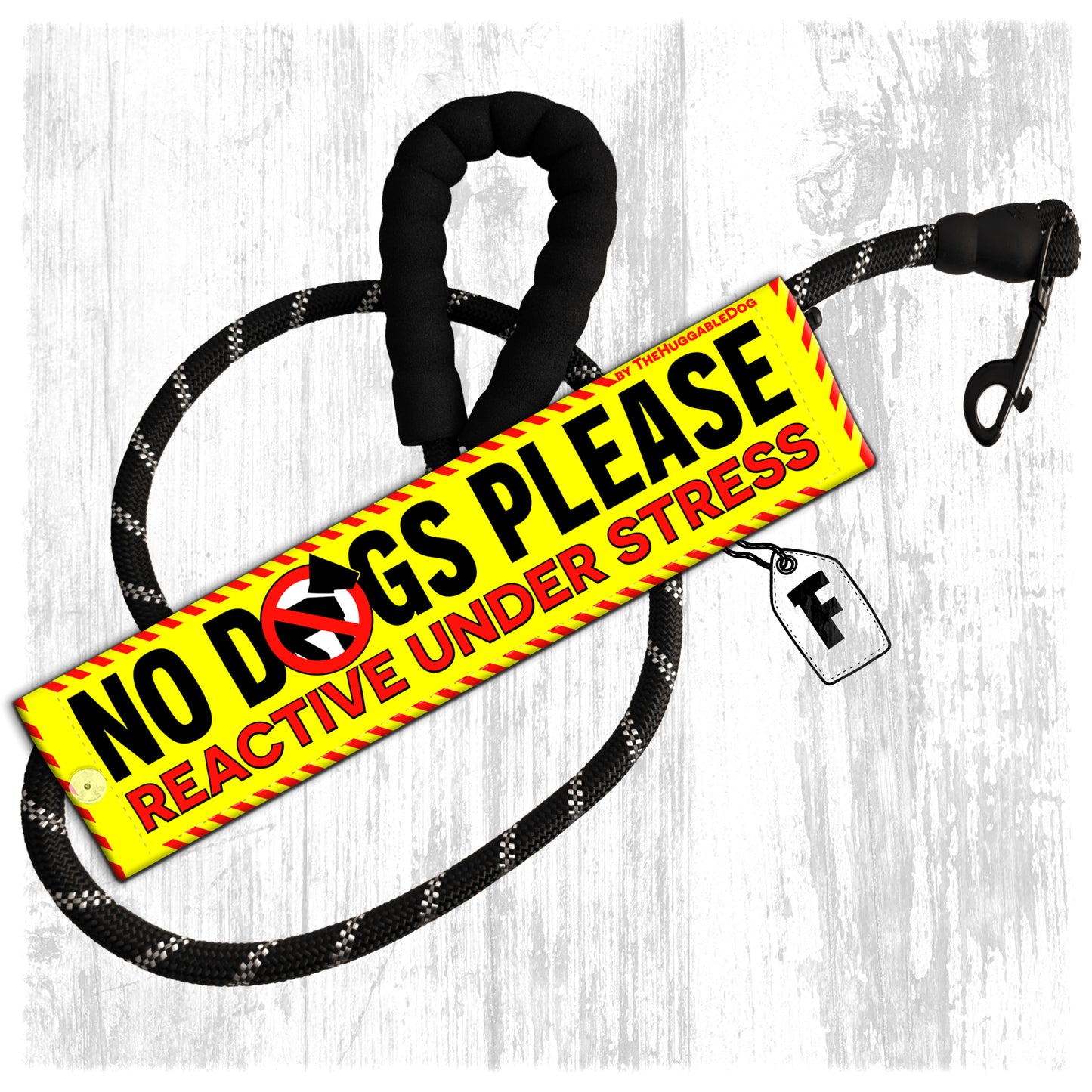 "NO DOGS PLEASE, various".