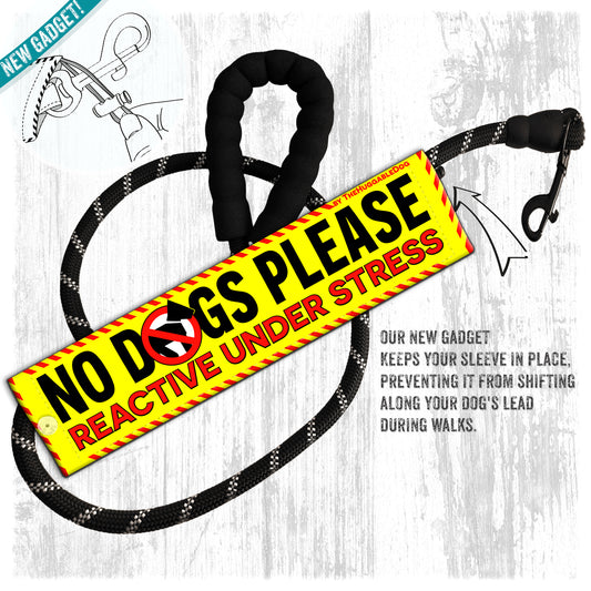 "NO DOGS PLEASE, various".