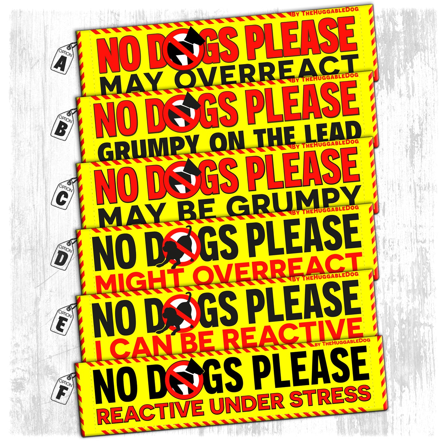 "NO DOGS PLEASE, various".