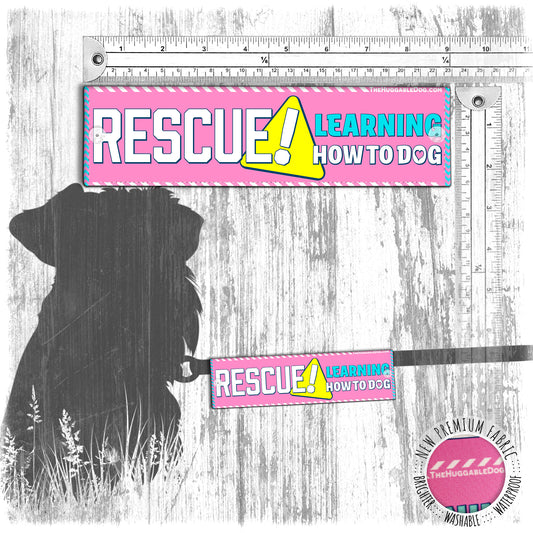 "RESCUE learning how to DOG". Leash sleeve for dog training.