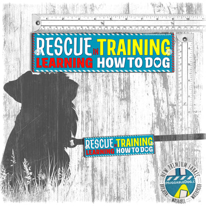 "RESCUE in training, learning how to DOG". Leash sleeve for dog training.