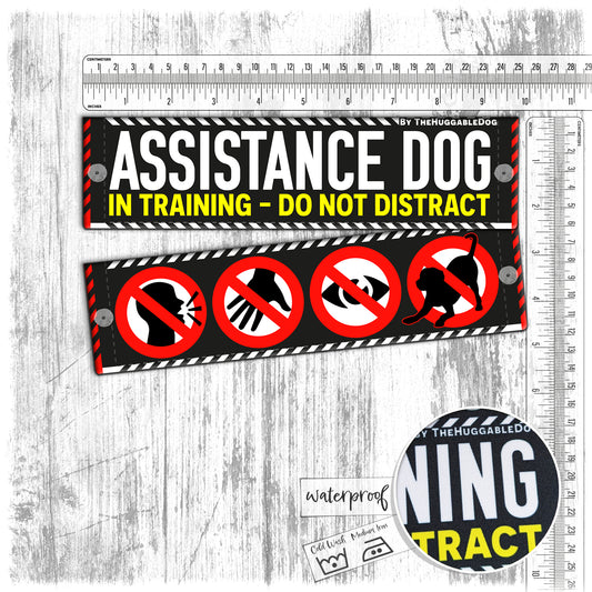 "Assistance Dog, IN TRAINING- do not distract". Leash sleeve for dog training.