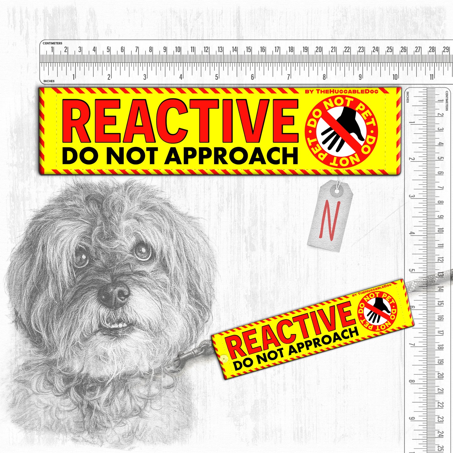 "REACTIVE DOG, various".