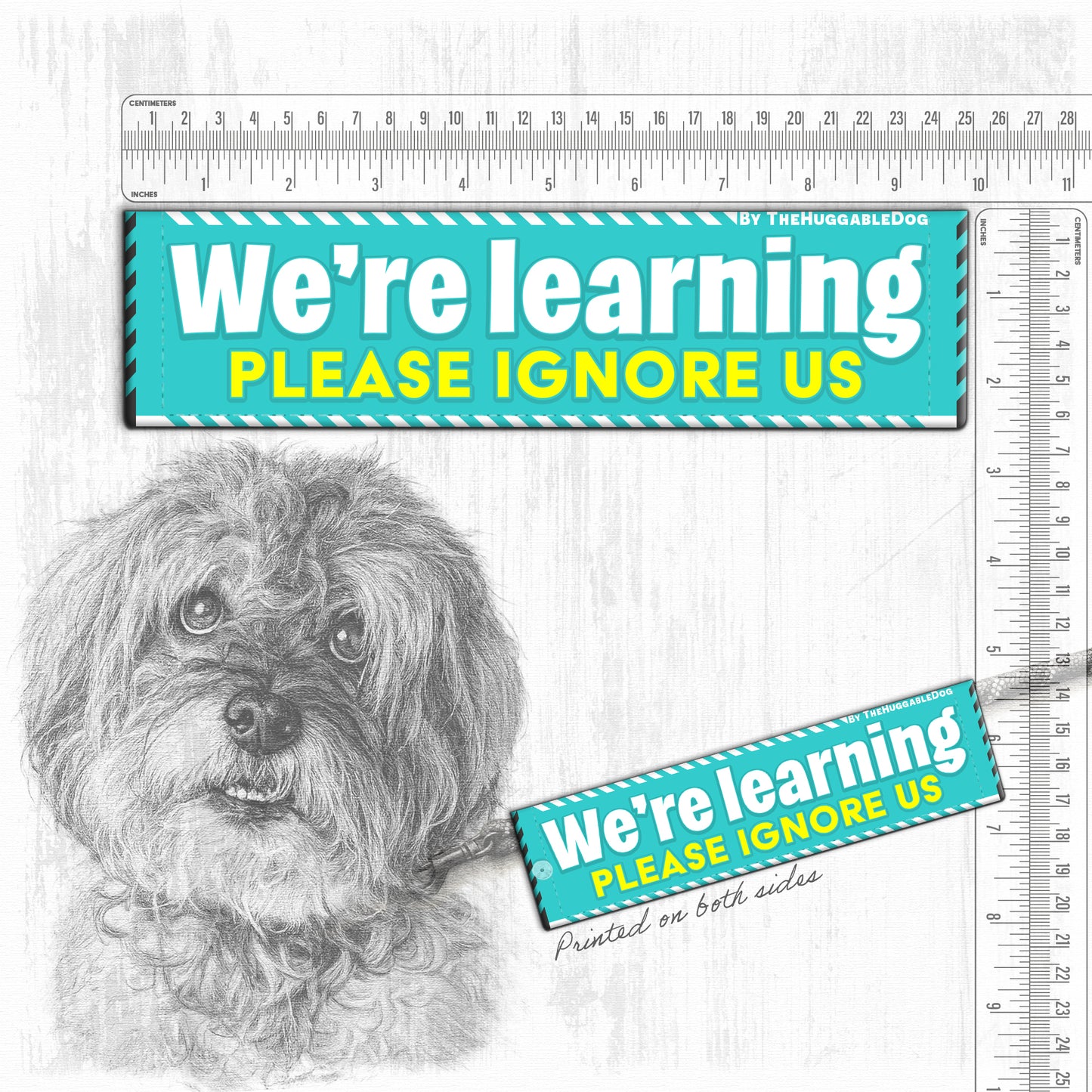 We're Learning, please ignore us