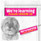 We're Learning, please ignore us