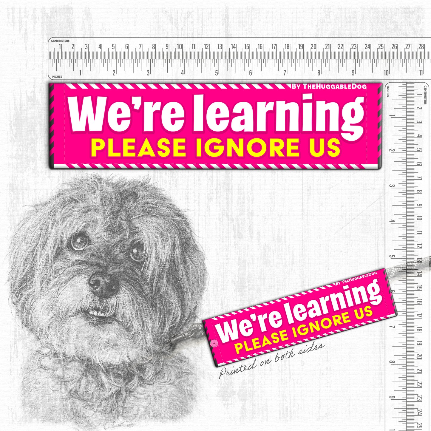 We're Learning, please ignore us