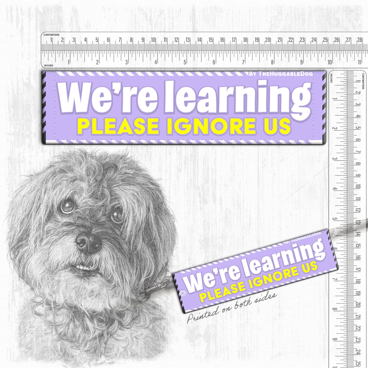 We're Learning, please ignore us