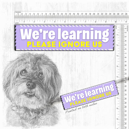 We're Learning, please ignore us